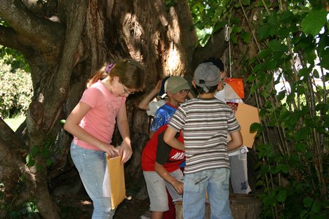 photo des activités jeudi 15 juillet au centre de vacances de libarrenx