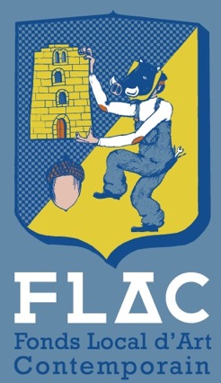 image : Visuel du Flac