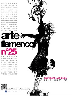image : affiche arte flamenco 2013