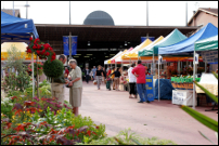 image : photo du marché alimentaire Saint Roch à Mont de Marsan